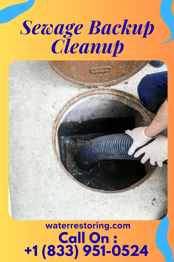 Sewage Backup Cleanup in Mulberry, SC